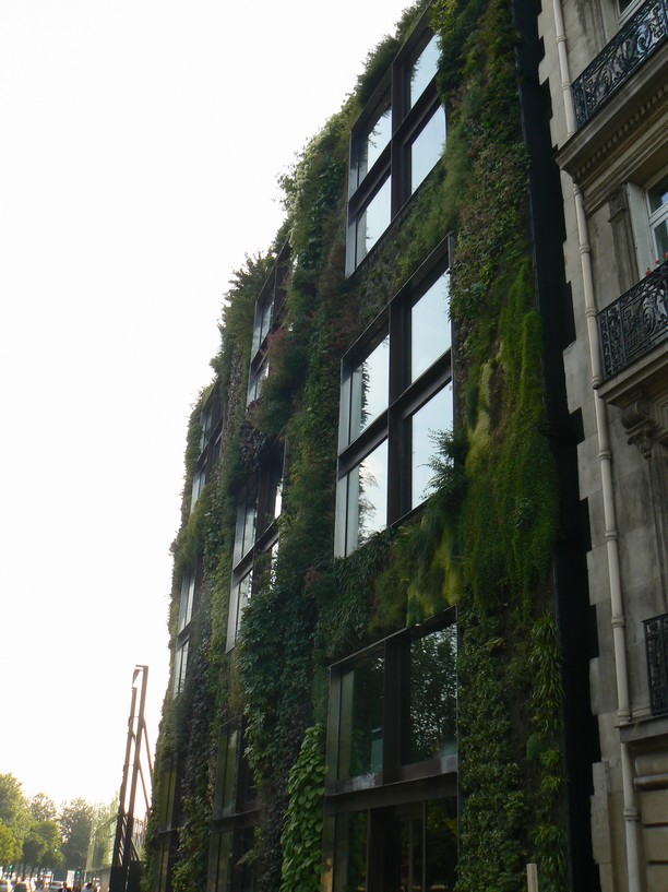 le mur vegetal quai branly: exterieur musee quai branly 024